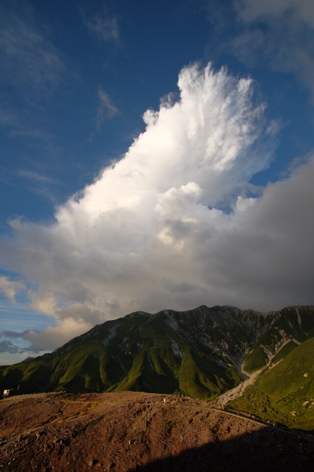 Обои 2025-12-14 №77192