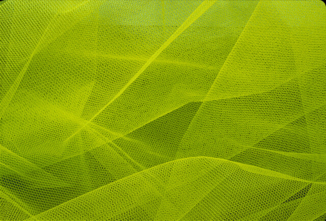 Обои 2025-12-15 №77265