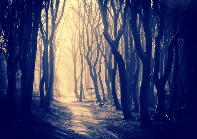 Обои 2025-12-16 №77294