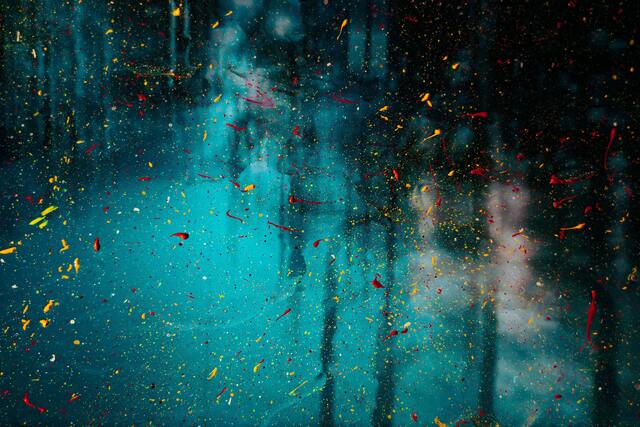 Обои 2025-12-16 №77323