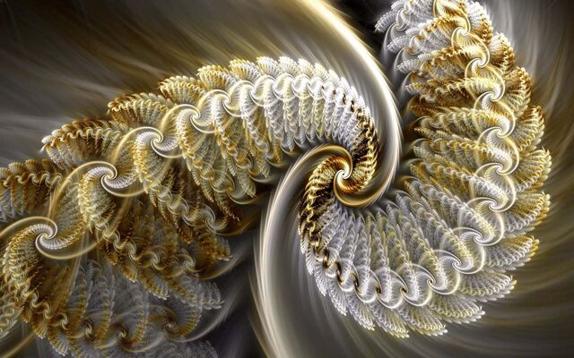 Обои 2025-12-16 №77352