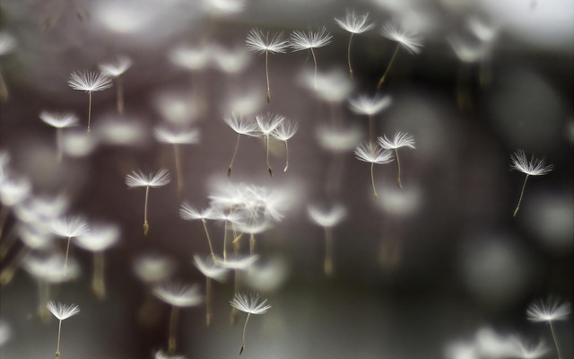 Обои 2025-12-17 №77370