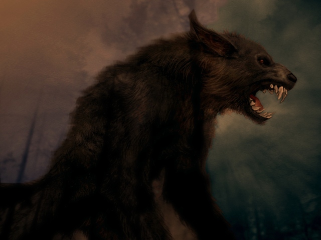 Обои 2025-12-17 №77396