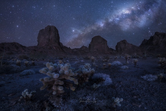 Обои 2025-12-18 №77455