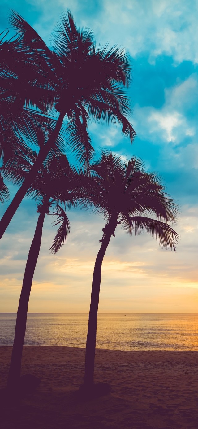 Обои 2025-12-18 №77479