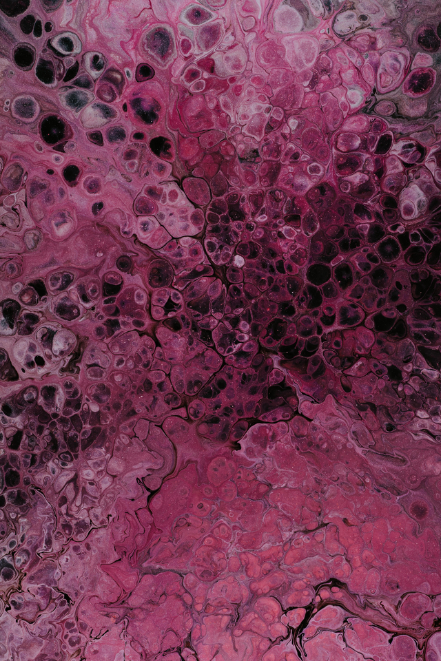 Обои 2025-12-18 №77501