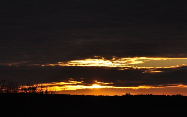 Обои 2025-12-18 №77486