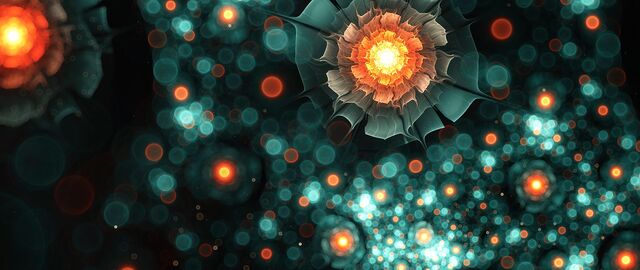 Обои 2025-12-19 №77576