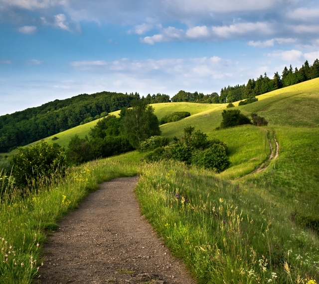 Обои 2025-12-20 №77592