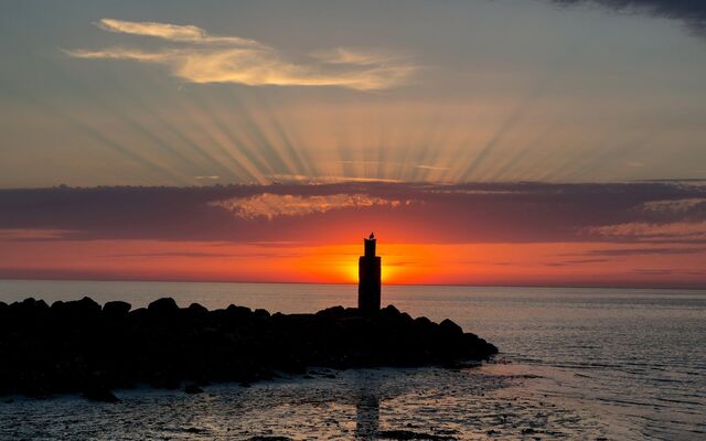 Обои 2025-12-20 №77626