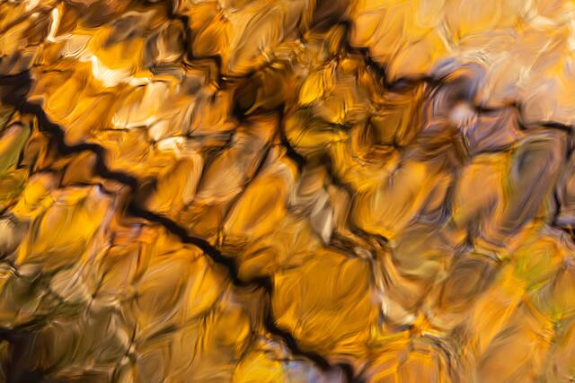 Обои 2025-12-20 №77628