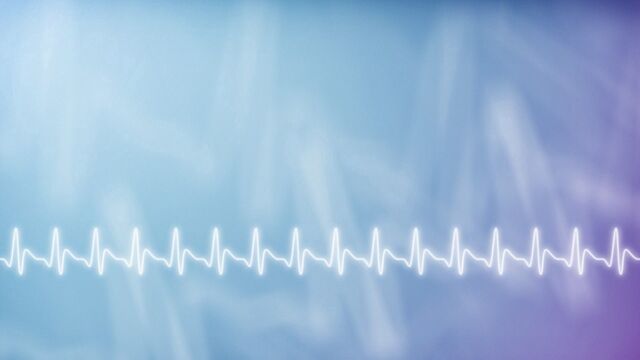 Обои 2025-12-20 №77642