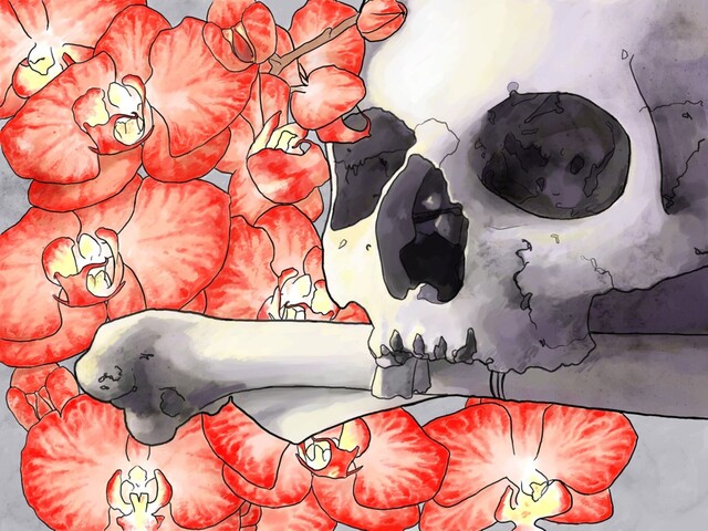 Обои 2025-12-20 №77659