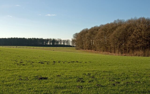 Обои 2025-12-20 №77652