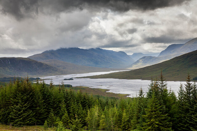 Обои 2025-12-21 №77697