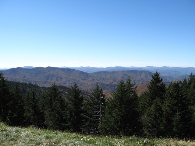 Обои 2025-12-21 №77694