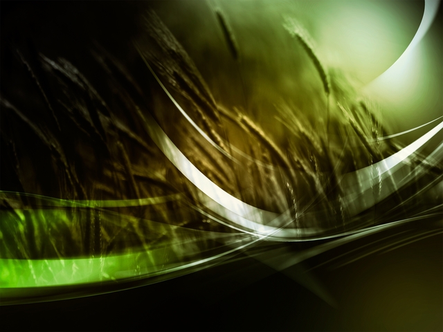 Обои 2025-12-21 №77705