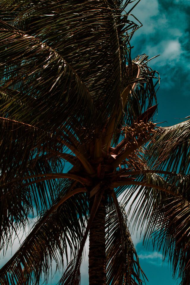 Обои 2025-12-21 №77710