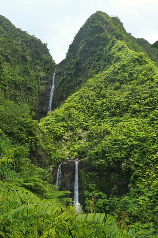 Обои 2025-12-21 №77728