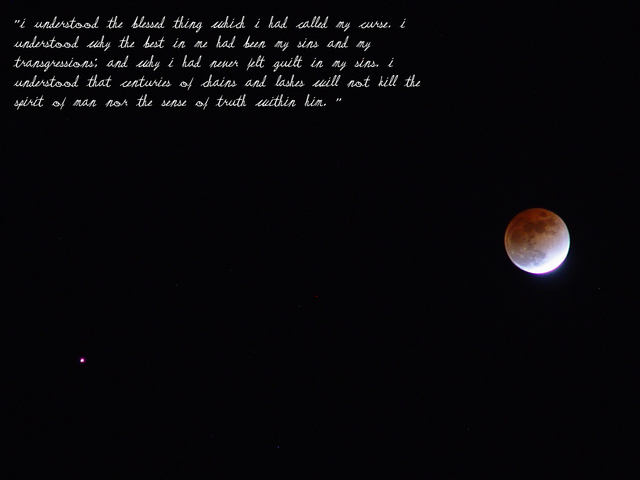 Обои 2025-12-21 №77757