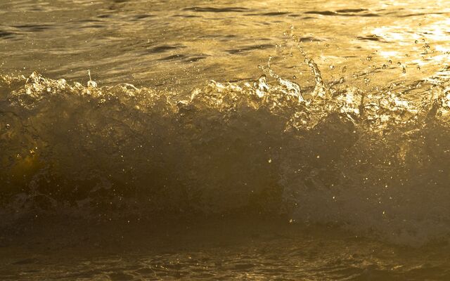 Обои 2025-12-21 №77753