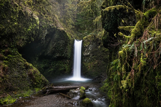 Обои 2025-12-22 №77769