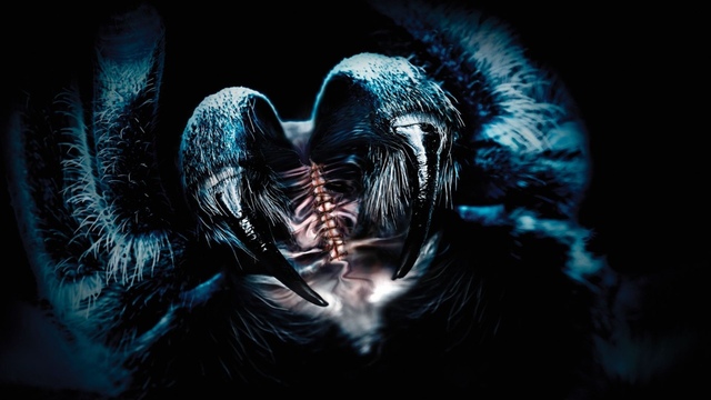 Обои 2025-12-22 №77779