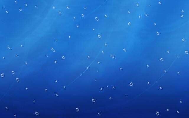 Обои 2025-12-22 №77821