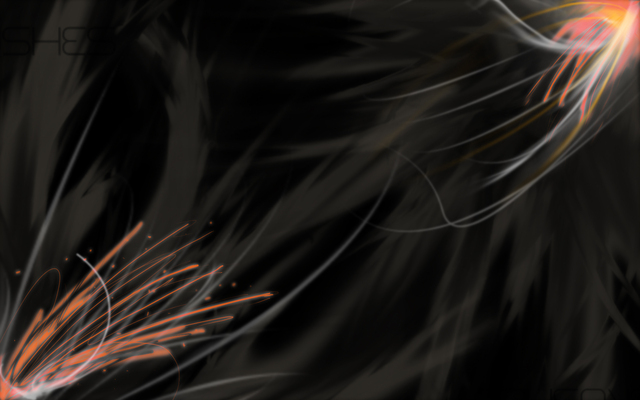 Обои 2025-12-22 №77839