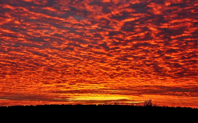 Обои 2025-12-22 №77850