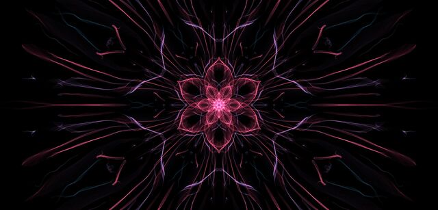 Обои 2025-12-23 №77898