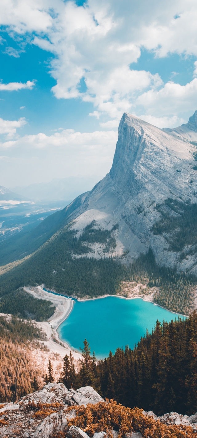 Обои 2025-12-23 №77929