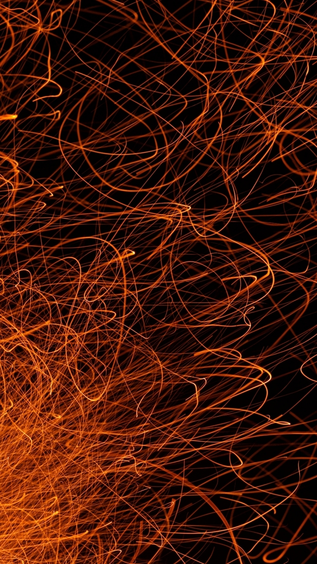 Обои 2025-12-24 №77946