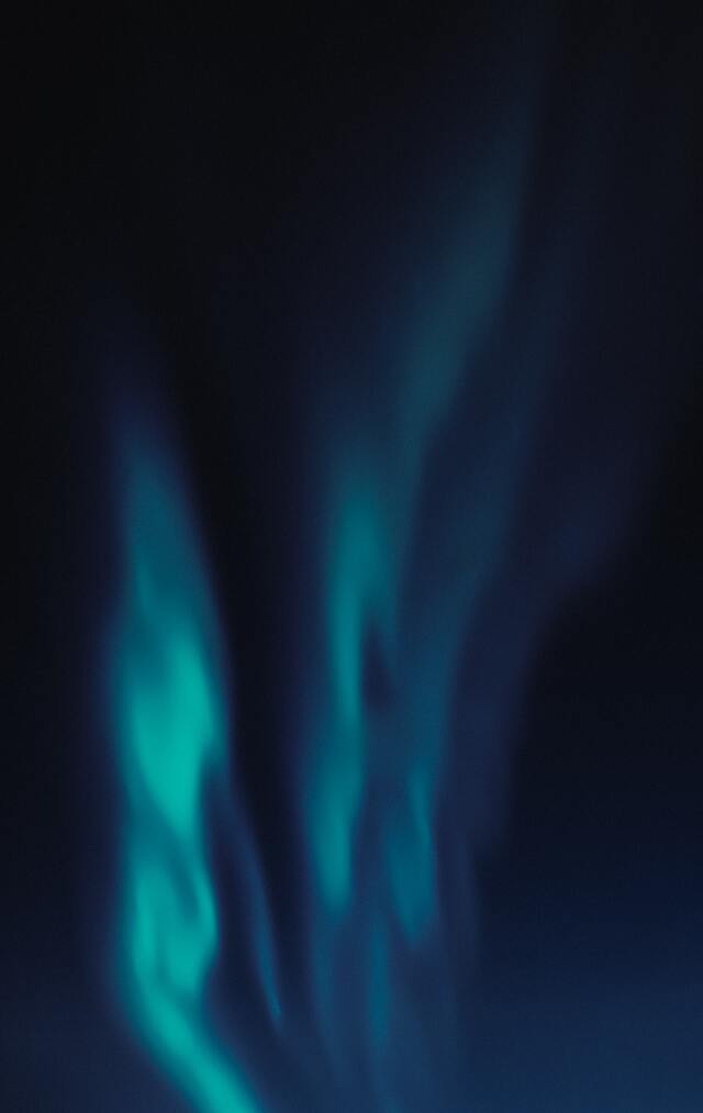 Обои 2025-12-24 №77994