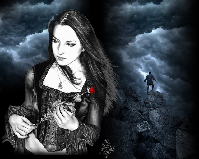 Обои 2025-12-24 №78008