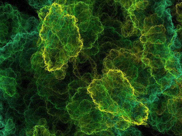 Обои 2025-12-25 №78021