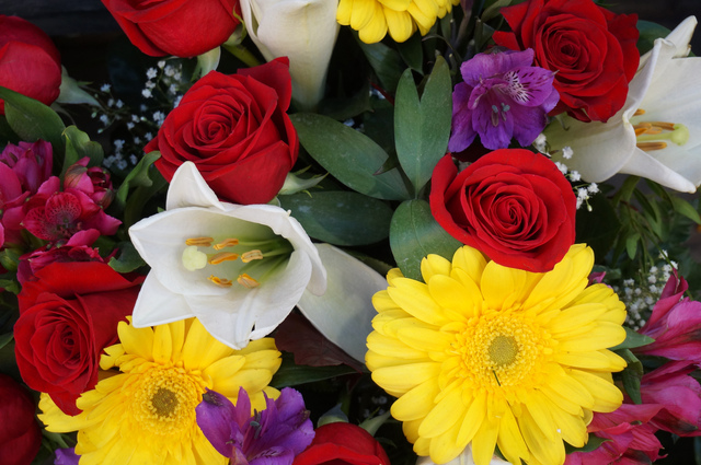 Обои 2025-12-25 №78081