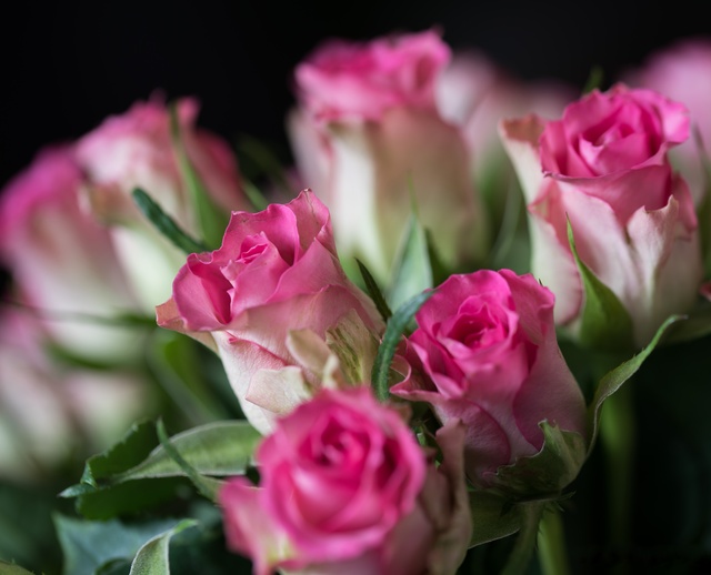 Обои 2025-12-26 №78093