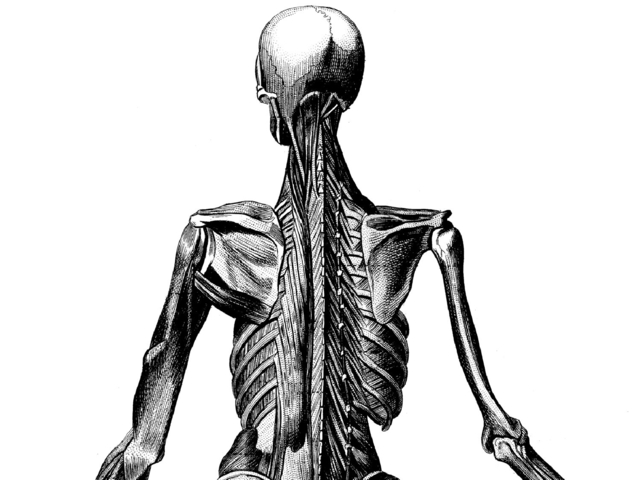 Обои 2025-12-26 №78132