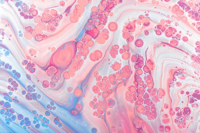 Обои 2025-12-27 №78171