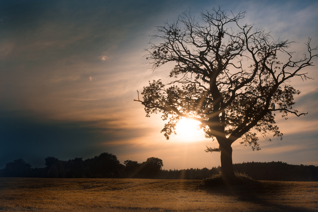 Обои 2025-12-27 №78165