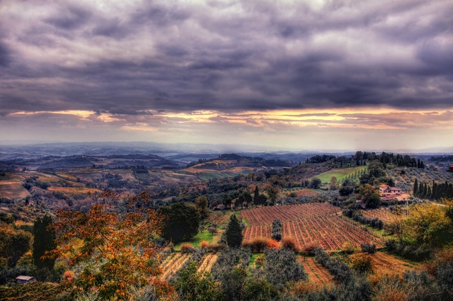 Обои 2025-12-27 №78181