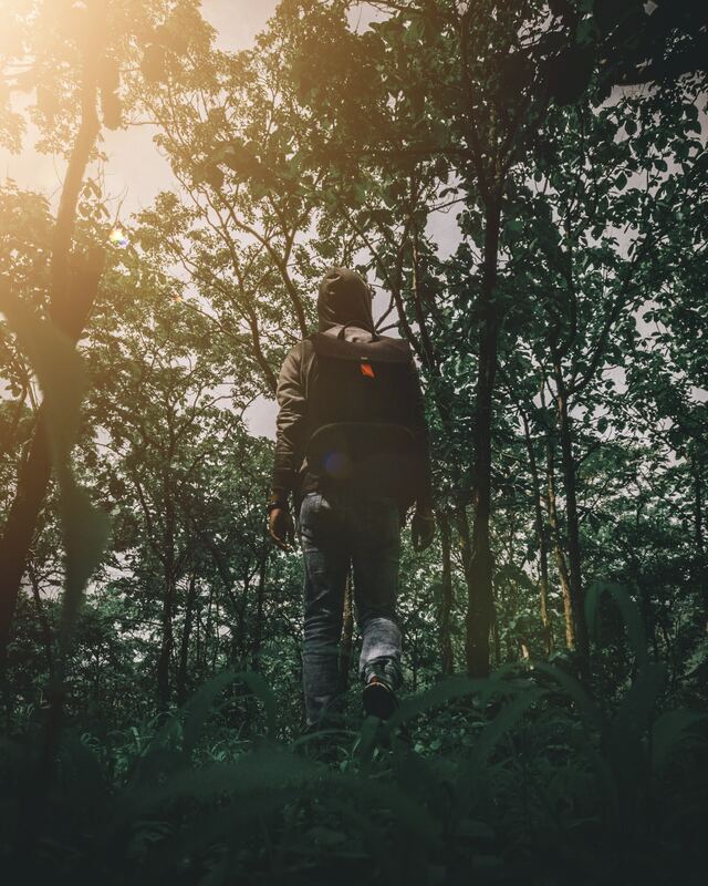 Обои 2025-12-27 №78180