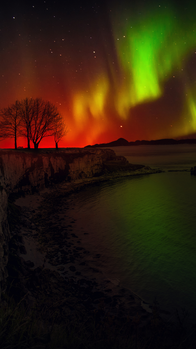 Обои 2025-12-27 №78235