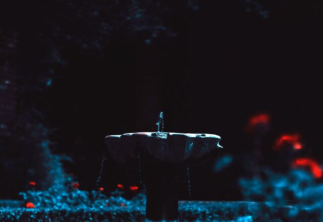 Обои 2025-12-28 №78262