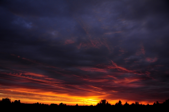 Обои 2025-12-28 №78280