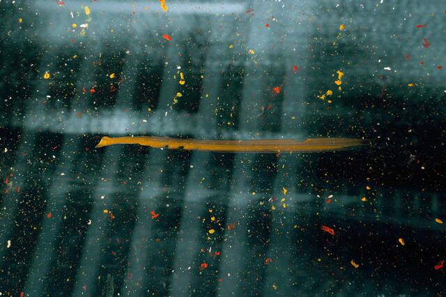 Обои 2025-12-29 №78387