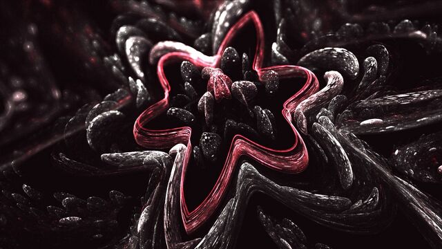 Обои 2025-12-29 №78400