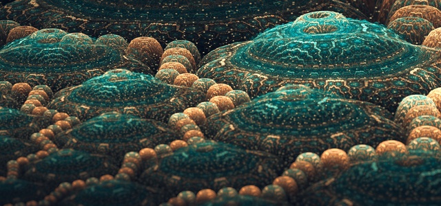 Обои 2025-12-29 №78431