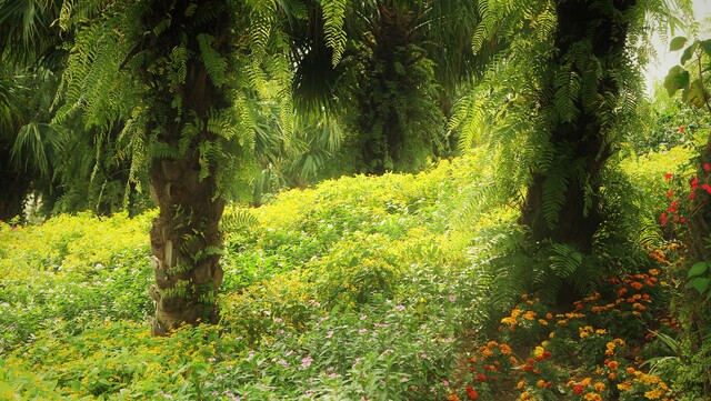 Обои 2025-12-29 №78420